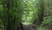 Excursión Senderismo Houyet - Gendron trail - Lesse Valley Roadbook - Photo 11
