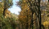Excursión Senderismo Houyet - Gendron trail - Lesse Valley Roadbook - Photo 15