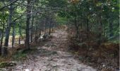 Trail Walking Sare - sare les palombieres - Photo 2
