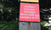Trail Walking Saint-Nizier-du-Moucherotte - 2013 10 13 La Moucherotte - Photo 3