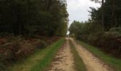 Randonnée Marche Bossay-sur-Claise - Forêt de preuilly - étang de la Ribaloche - Photo 3