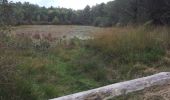 Randonnée Marche Bossay-sur-Claise - Forêt de preuilly - étang de la Ribaloche - Photo 1