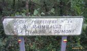 Randonnée Marche Beauvoir-sur-Niort - Beauvoir-sur-Niort (Rimbault) - Photo 1