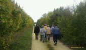 Trail Walking Coulon - Saint Liguaire. Les vignes - Photo 1