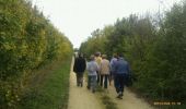 Tocht Stappen Coulon - Saint Liguaire. Les vignes - Photo 1