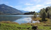 Tocht Stappen Broc - Lac de la Gruyères 10.2013 - Photo 5