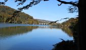 Tocht Stappen Broc - Lac de la Gruyères 10.2013 - Photo 4