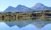 Tocht Stappen Broc - Lac de la Gruyères 10.2013 - Photo 3