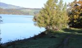 Tocht Stappen Broc - Lac de la Gruyères 10.2013 - Photo 1