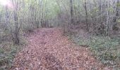 Trail Walking Turenne - Bois de Turenne - Photo 3