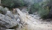 Tour Wandern Fornalutx - Soller Mallorca - Photo 1