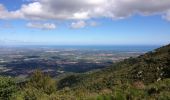 Tocht Stappen L'Albère - St. Jean de l'Albère-Col de  l'Ouillat - Photo 3