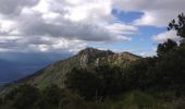 Tocht Stappen L'Albère - St. Jean de l'Albère-Col de  l'Ouillat - Photo 4