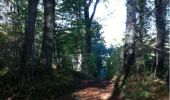 Trail Walking Longpont - en forêt de Retz_21_Longpont_carrefour des Amoureux_AR - Photo 6