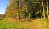 Trail Walking Longpont - en forêt de Retz_21_Longpont_carrefour des Amoureux_AR - Photo 14