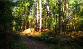 Tocht Stappen Longpont - en forêt de Retz_21_Longpont_carrefour des Amoureux_AR - Photo 16