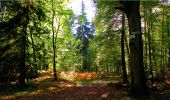 Tocht Stappen Longpont - en forêt de Retz_21_Longpont_carrefour des Amoureux_AR - Photo 18