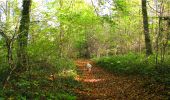 Trail Walking Longpont - en forêt de Retz_21_Longpont_carrefour des Amoureux_AR - Photo 7