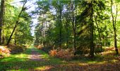Tocht Stappen Longpont - en forêt de Retz_21_Longpont_carrefour des Amoureux_AR - Photo 17