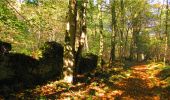 Trail Walking Longpont - en forêt de Retz_21_Longpont_carrefour des Amoureux_AR - Photo 9