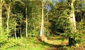 Trail Walking Longpont - en forêt de Retz_21_Longpont_carrefour des Amoureux_AR - Photo 11