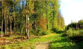 Trail Walking Longpont - en forêt de Retz_21_Longpont_carrefour des Amoureux_AR - Photo 13