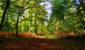 Trail Walking Longpont - en forêt de Retz_21_Longpont_carrefour des Amoureux_AR - Photo 15