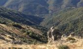 Excursión Senderismo Val-d'Aigoual - 4000 - Photo 10