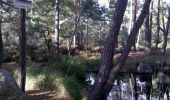 Trail Walking Fontainebleau - 131031-PREPA SamoisCassepot Audio - Photo 1