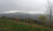 Trail Walking Bas-en-Basset - george de l'andrable depuis le Vert - Photo 9