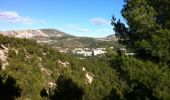 Trail Walking Marseille - Mont de Morgiou - Photo 2
