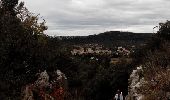 Tour Wandern Saint-Bonnet-du-Gard - Pont du Gard - Photo 11