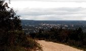 Tour Wandern Saint-Bonnet-du-Gard - Pont du Gard - Photo 10