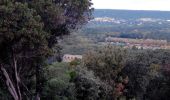 Tour Wandern Saint-Bonnet-du-Gard - Pont du Gard - Photo 9