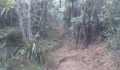 Percorso Marcia Salazie - forêts vers le haut du cirque - Photo 5