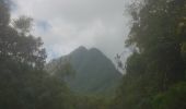 Randonnée Marche Salazie - forêts vers le haut du cirque - Photo 3