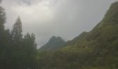 Randonnée Marche Salazie - forêts vers le haut du cirque - Photo 2