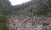 Randonnée Marche Salazie - forêts vers le haut du cirque - Photo 1