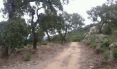 Trail Running Bormes-les-Mimosas - Rando course Gratteloup (entrainement trail) - Photo 2