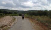 Tour Wandern Sernhac - 2 jours - Photo 14