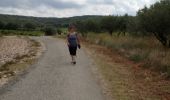 Tour Wandern Sernhac - 2 jours - Photo 13