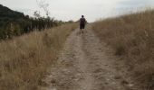 Trail Walking Sernhac - 1 jour - Photo 14