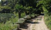 Trail Walking Maussane-les-Alpilles - 5 jours - Photo 4