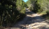 Trail Walking Maussane-les-Alpilles - 5 jours - Photo 3