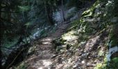 Trail Walking Beaumont-du-Ventoux - 4 jours - Photo 1