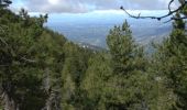 Trail Walking Beaumont-du-Ventoux - 4 jours - Photo 2