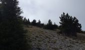 Tour Wandern Beaumont-du-Ventoux - 4 jours - Photo 10