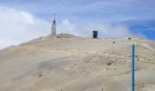 Tour Wandern Beaumont-du-Ventoux - 4 jours - Photo 8