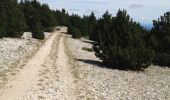 Trail Walking Beaumont-du-Ventoux - 4 jours - Photo 6