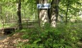 Tour Wandern Nassogne - Masbourg - Photo 15